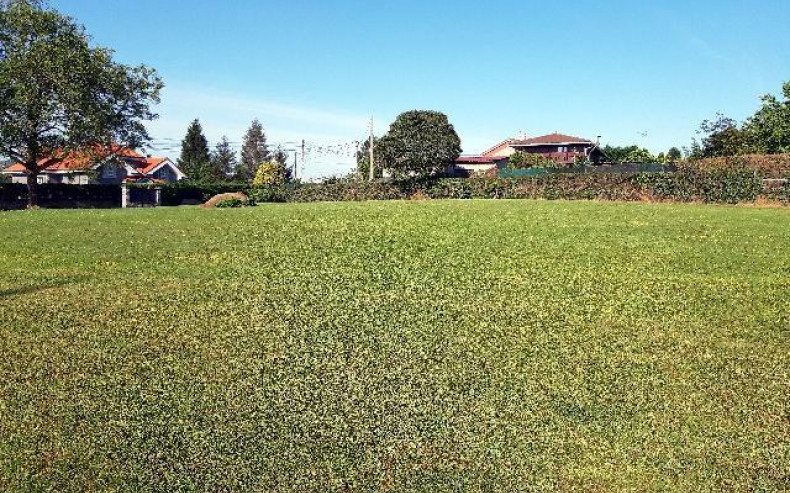 FINCAS EDIFICABLES MAREO